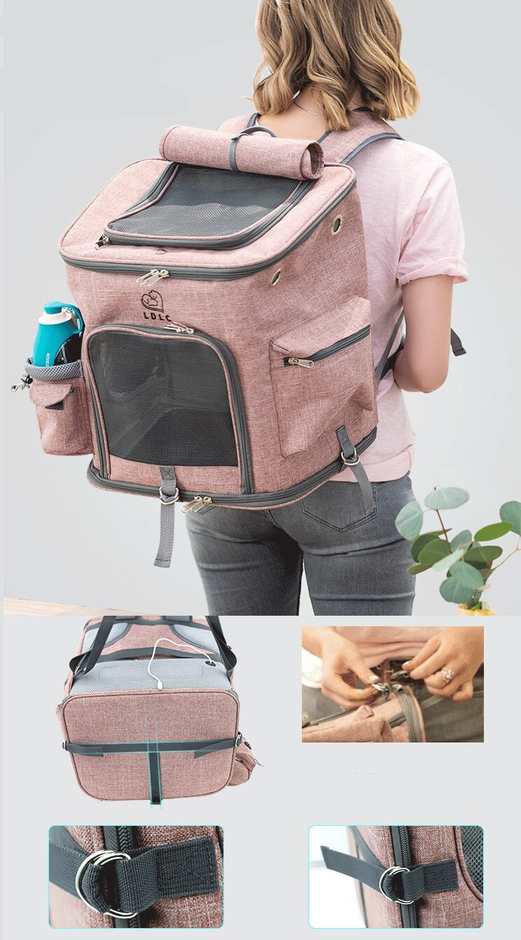 aipaws cat backpack