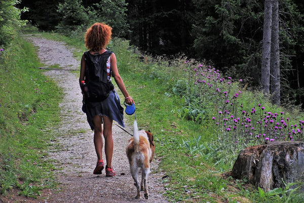 woman walk a dog on the side of the road