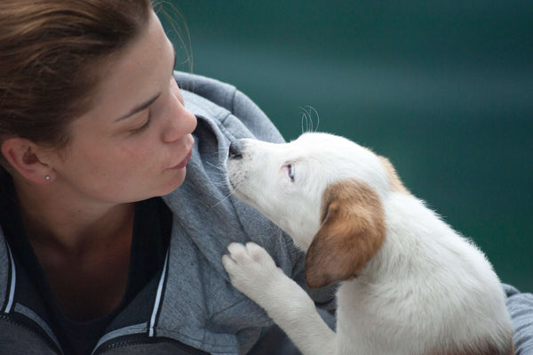 woman wearing gray jacket beside white puppy dog