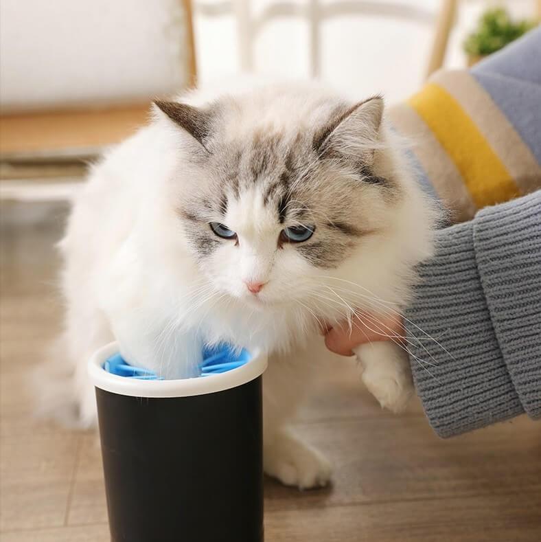 automatic paw cleaner