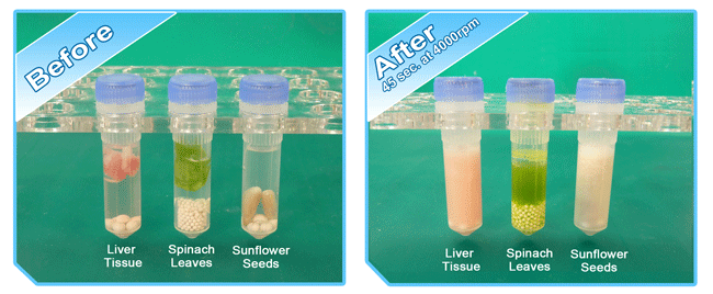 BeadBug homogenizer before & after