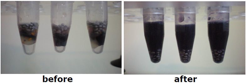 Blueberry homogenized in a Bullet Blender