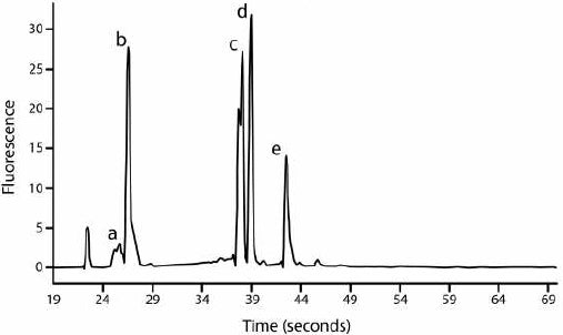 Graph demonstrating the high quality total RNA obtained from R. etli using the Precellys 24, illustrating the fragmentation 23S rRNA.