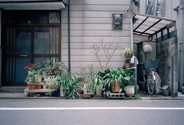 Tokyo Potted Gardens