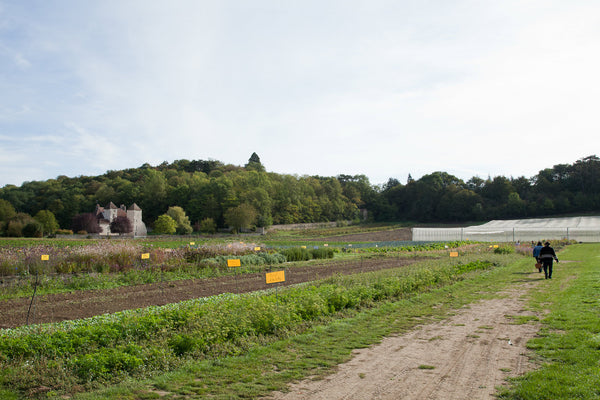 Jardins de Marigny