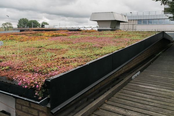 Augustenborg Roof Garden