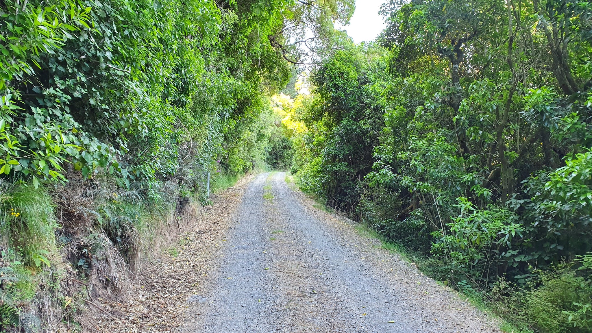 Reynolds Valley Road