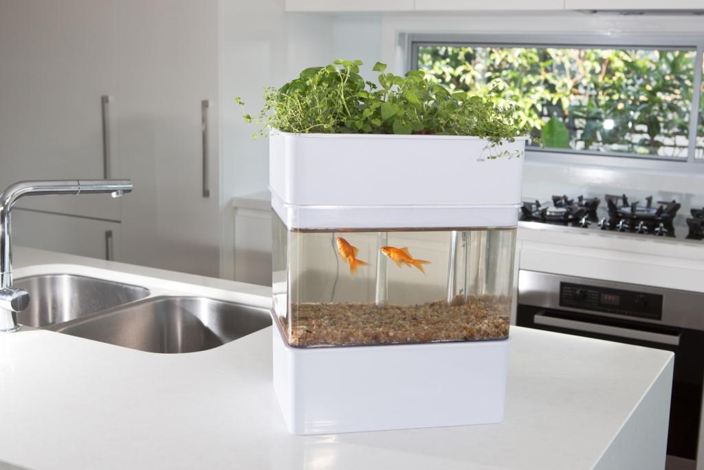 Aquaponics Garden on Pinterest | Aquaponics, Fish Tanks ...