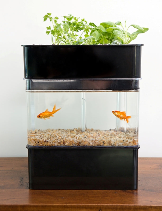 Indoor Aquaponics Systems | Aquaponicals