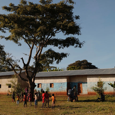 Adola School - Drop Coffee 