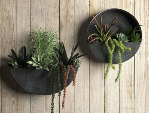 Orbea Wall Planters