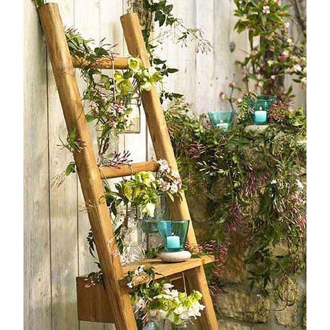 Ladder Gardening