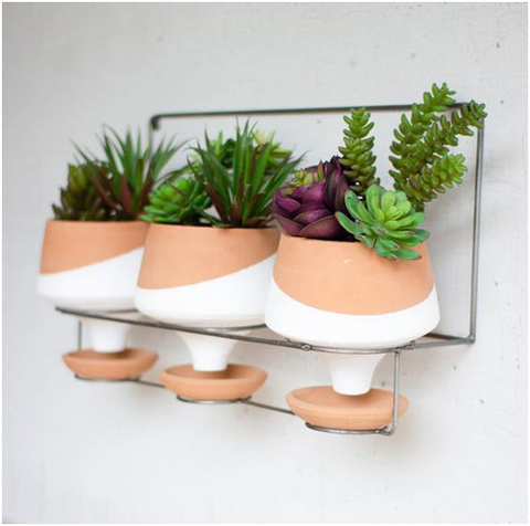 Wall Planters on Wire Hanger