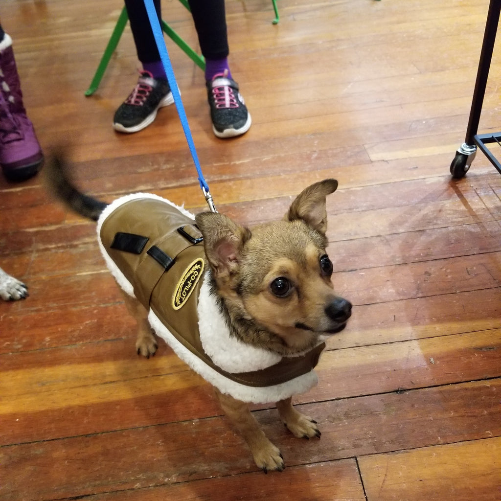 coco-looks-very-dapper-in-his-bomber-jacket-by-doggie-design