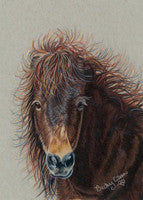 Breezy's Bad Hair Day - Colored Pencil Artwork by Becky Eileen Eller