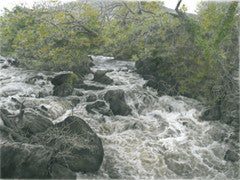 Rushing Waters - Colored Pencil Artwork by Carol  E. Maltby