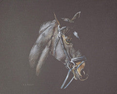Starlight's Watchful Eye - Colored Pencil Artwork by Helen Bailey