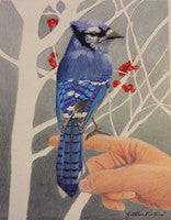Touched by Nature - Colored Pencil Artwork by Kathleen Collins