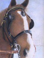 Chocolate Mousse - Colored Pencil Artwork by Linda Killingsworth
