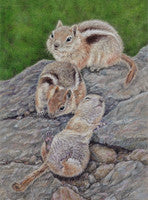 Ooops! - Colored Pencil Artwork by Margaret Nelson