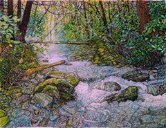 The Mist at Upper Pine Bottom - Colored Pencil Artwork by Mark Neuherz