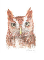 Whooo, Me? - Colored Pencil Artwork by Sue Betanzos