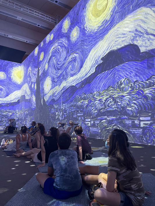 EB Visits Van Gogh Exhibit New York City: The Immersive Experience
