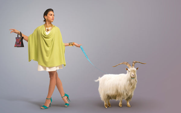 Cashmere styled model walking with Mongolian cashmere goat