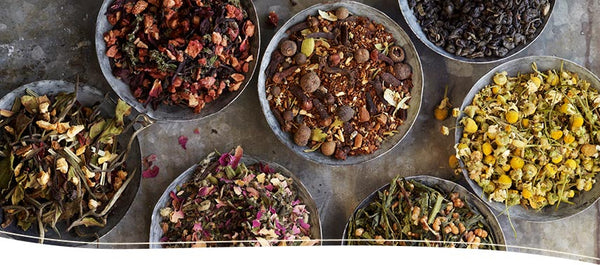 Numi Tea - organic fair trade tea brand - Prosperity Candle Blog 15 Incredible Fair Trade Shops and Products