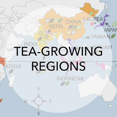 tea-growing regions