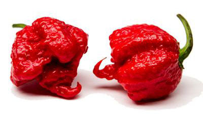 Carolina Reaper Peppers