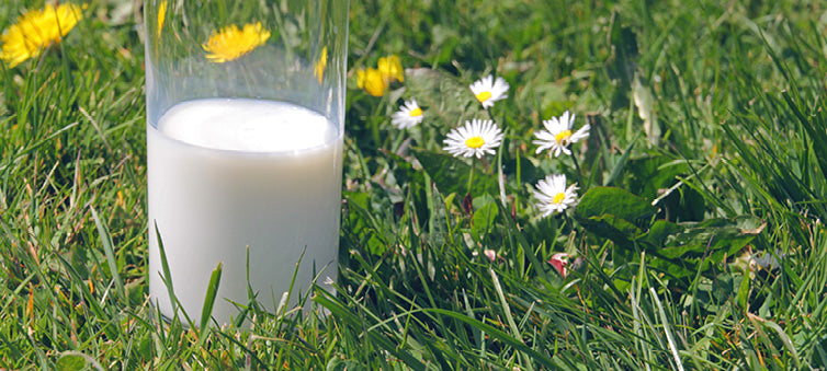 Is dropping dairy good for you?