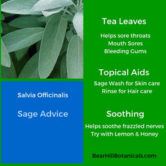 Bear_Hill_Botanicals_Sage_Recipes