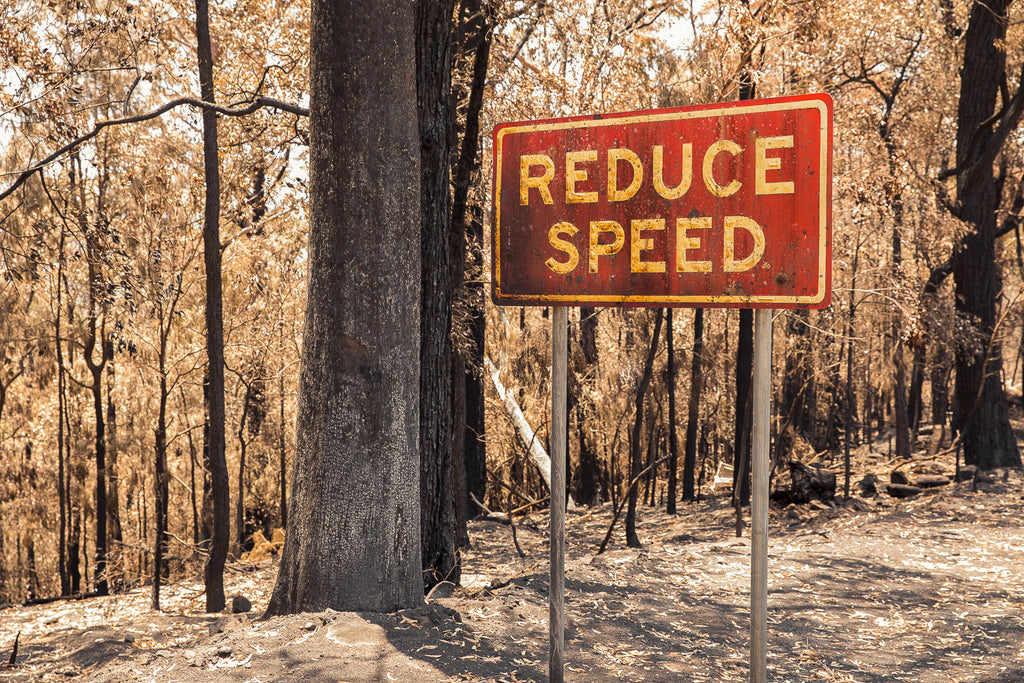 Australian bush fires on the south east coast of NSW burnt road sign