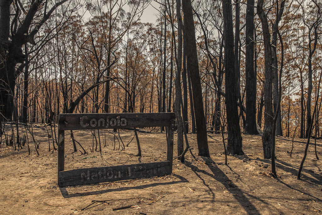 Australian bush fires on the south east coast of NSW at Conjola Park