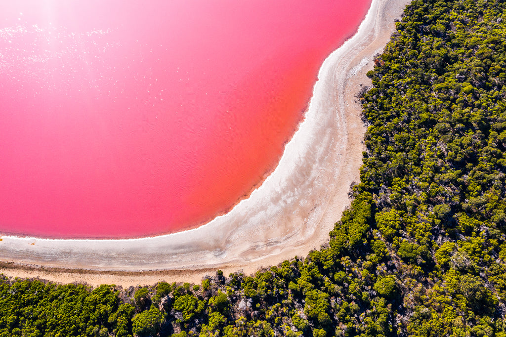 The infamous Pink Salt lake in Western Australia 