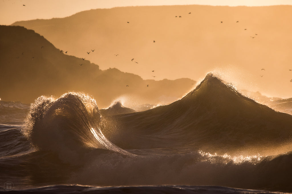 Golden Pyramids with Philip Thurston Photo