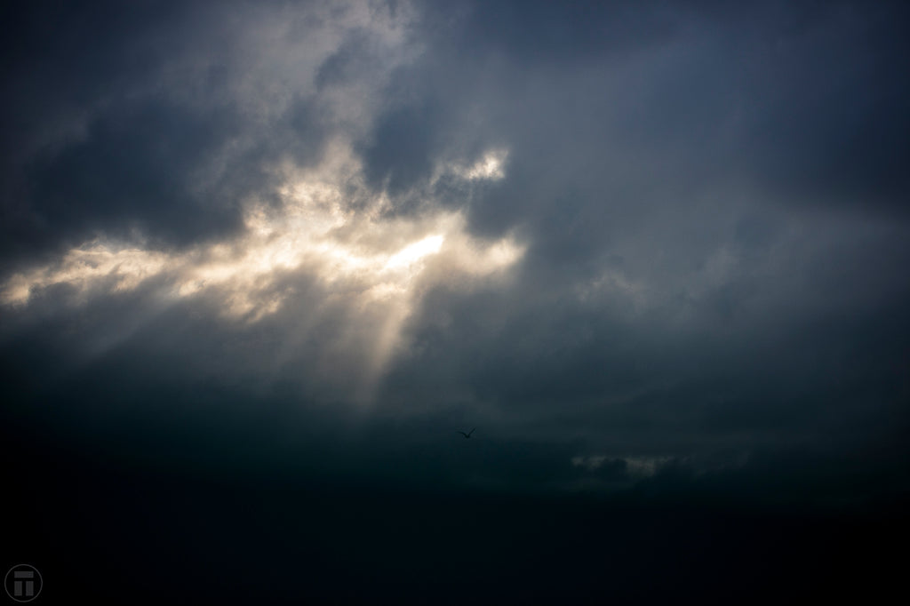 "Rays of Flight" A moody image of the stormy ocean by Thurston Photo