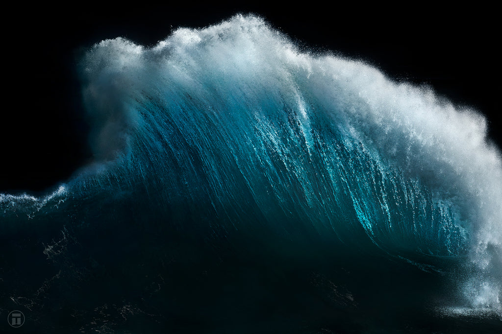 Roar, the best of backwash with Thurston Photo