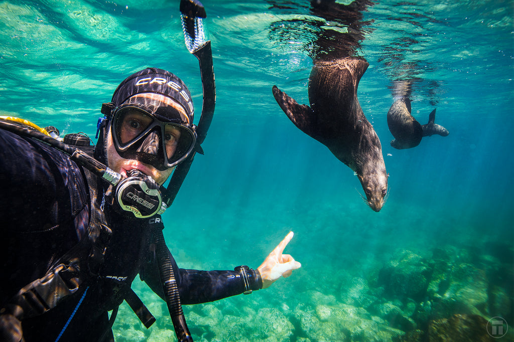 Thurston on Cressi Scuba with the seals of Montague Island