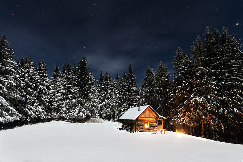 cabins in the woods