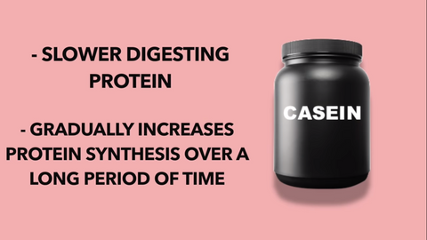 Slow Digesting Casein Protein
