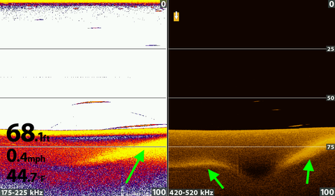 Hard and soft bottom sonar and down imaging