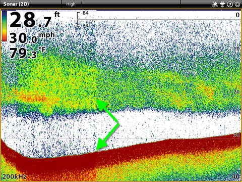 Humminbird Auto-Sensitivity