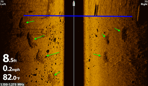 side imaging interpretation