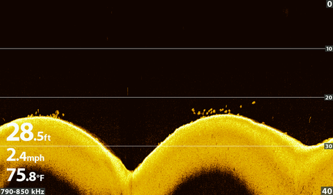 Humminbird down imaging