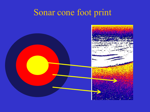 understanding sonar bottom