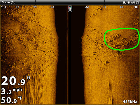 Humminbird side imaging boulders