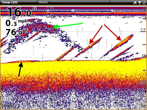 Humminbird Sonar interpretaion