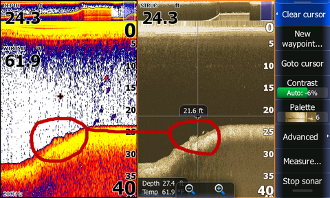 Lowrance DownScan